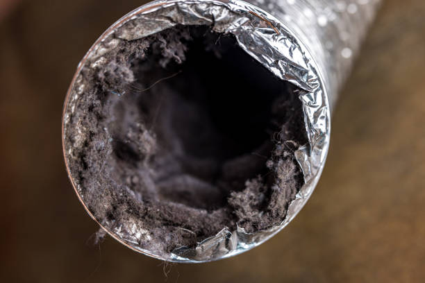 Best Affordable Duct Cleaning Services  in Spruce Pine, NC